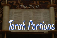 Learn Your Torah